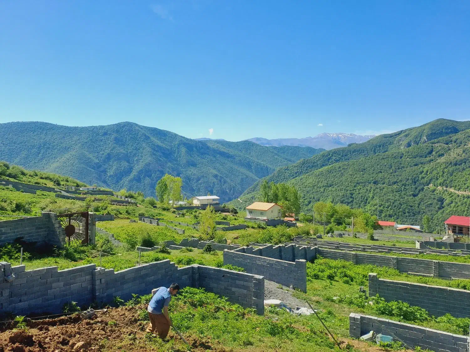 فروش زمین داخل بافت در دو قسط|فروش زمین و ملک کلنگی|آلاشت, |دیوار