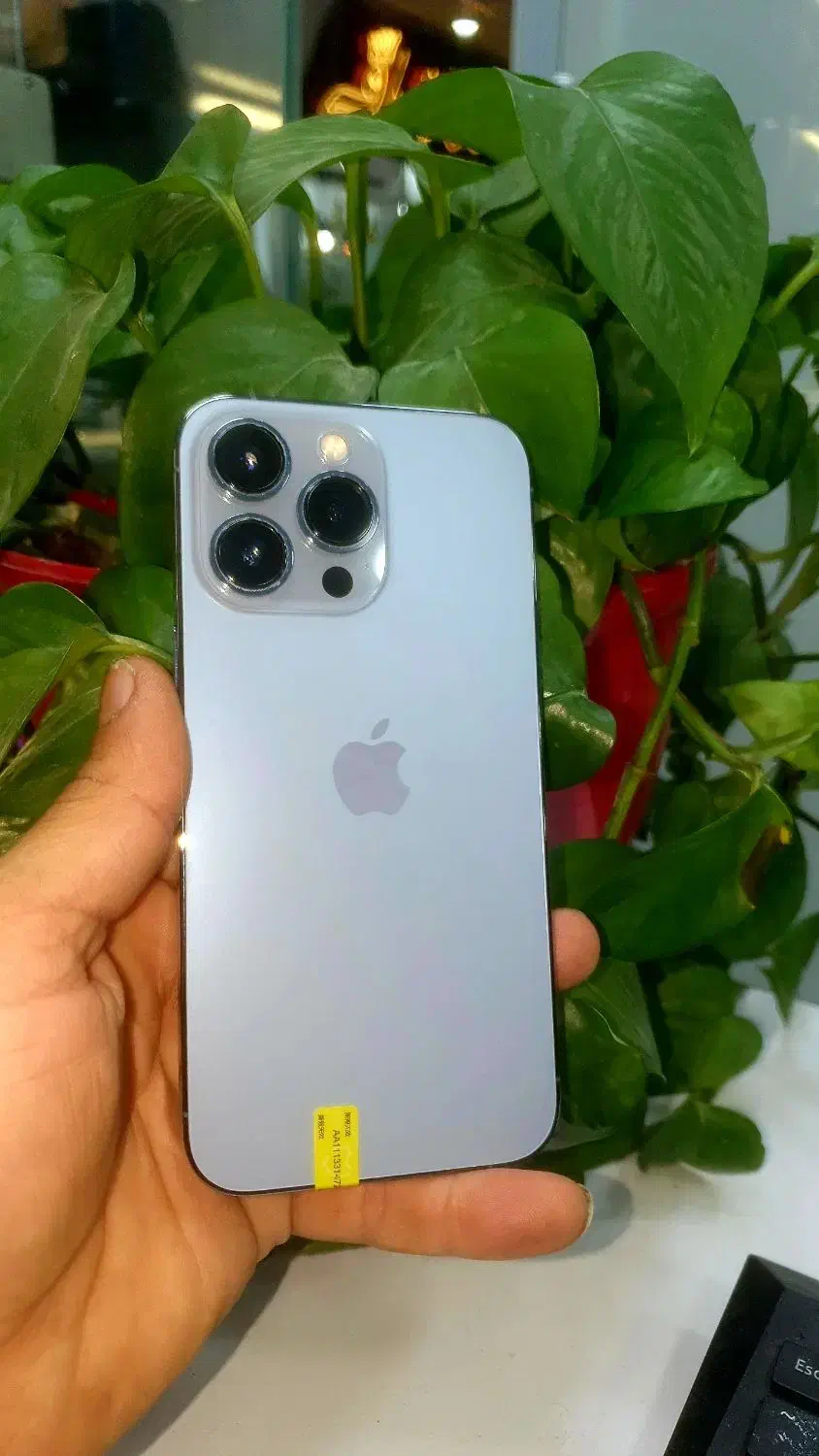 آیفون 13pro ریجستر شده|موبایل|برازجان, |دیوار