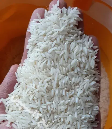 برنج طارم هاشمی از کشاورز|خوردنی و آشامیدنی|محمودآباد, |دیوار