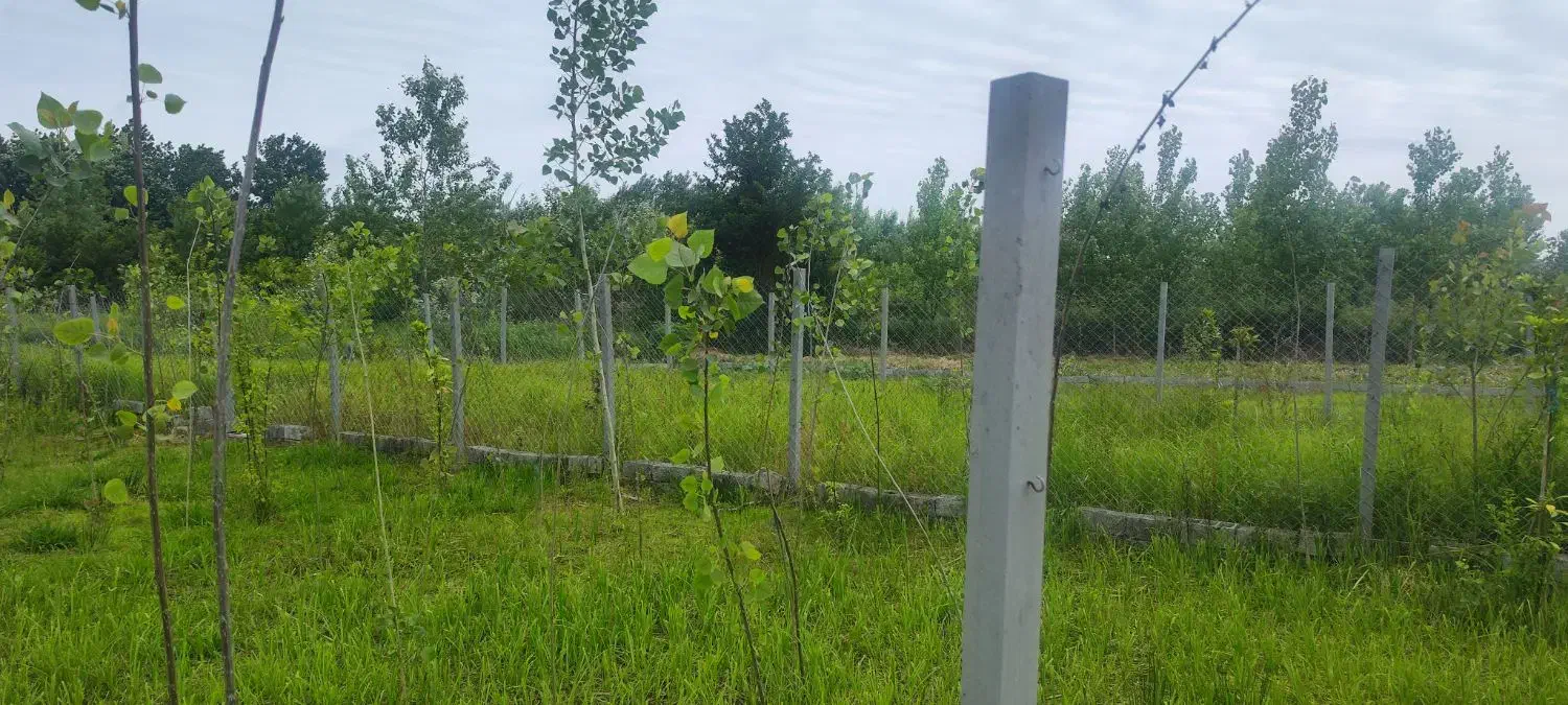 200متر زمین دریاسر|فروش زمین و ملک کلنگی|شلمان, |دیوار