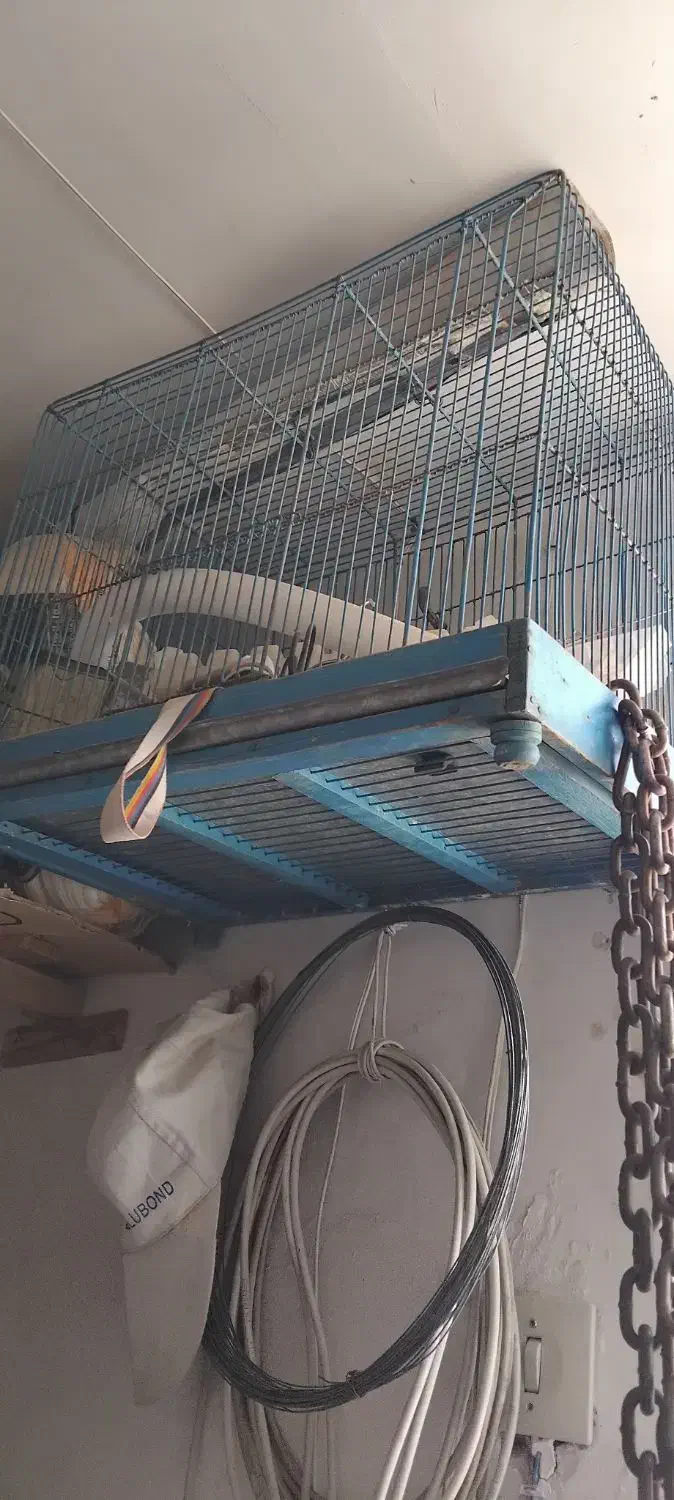 حراجی|حراج|قم, آذر (نکویی)|دیوار