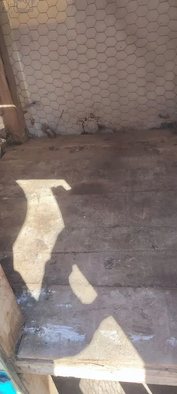 قفس چوبی|لوازم جانبی حیوانات|فیروزه, |دیوار