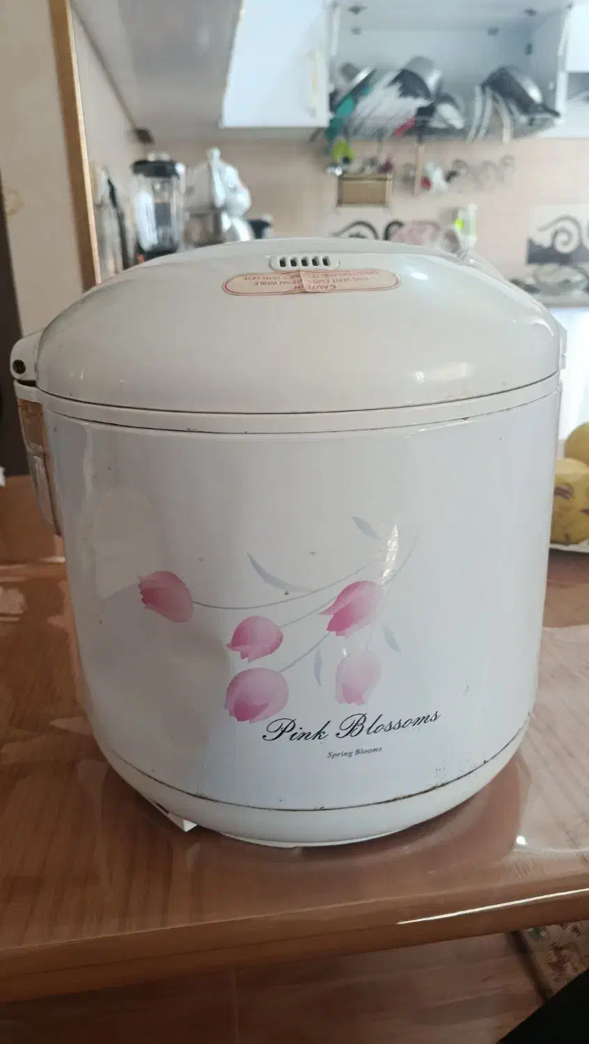 پلوپز سالم|اجاق گاز و لوازم برقی پخت‌وپز|رشت, پاستوریزه|دیوار