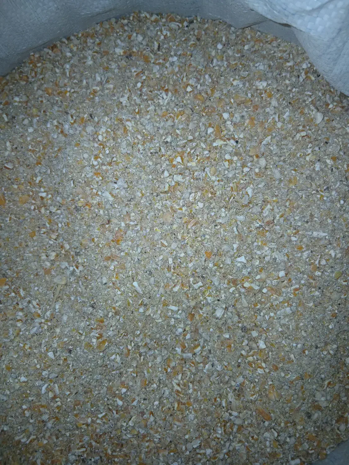 دان مرغ|لوازم جانبی حیوانات|سجاس رود, |دیوار