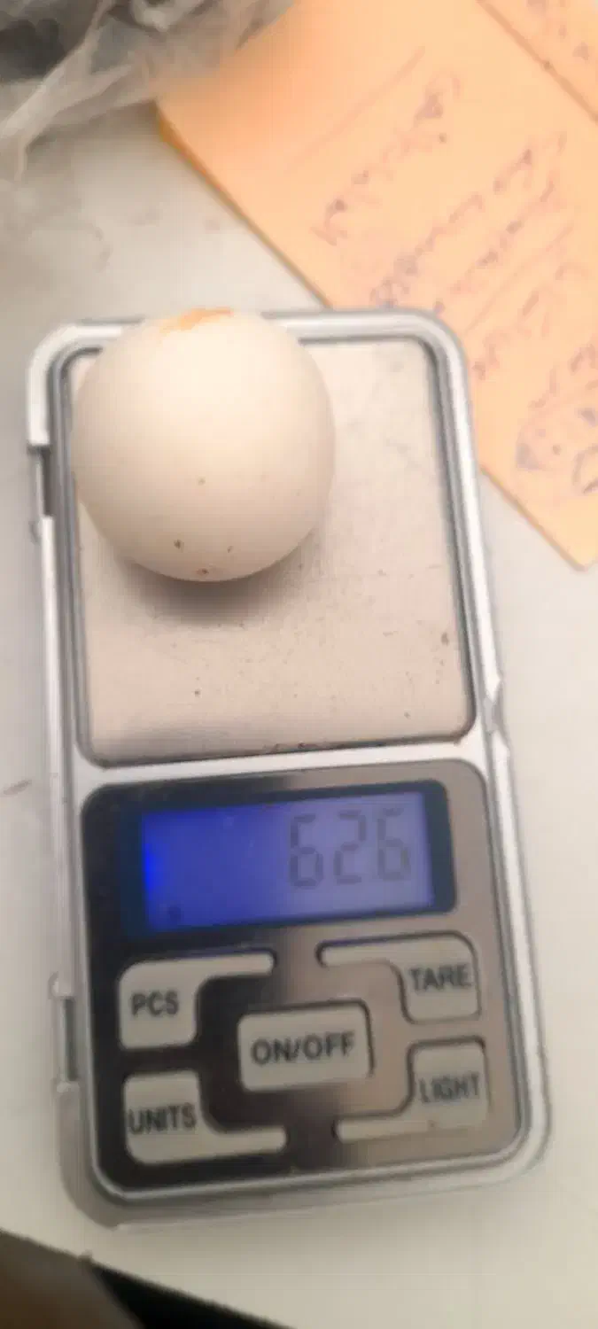 سنگ الماس آسیاب یا مروارید غار بروجردی|کلکسیون اشیاء عتیقه|بندر گناوه, |دیوار