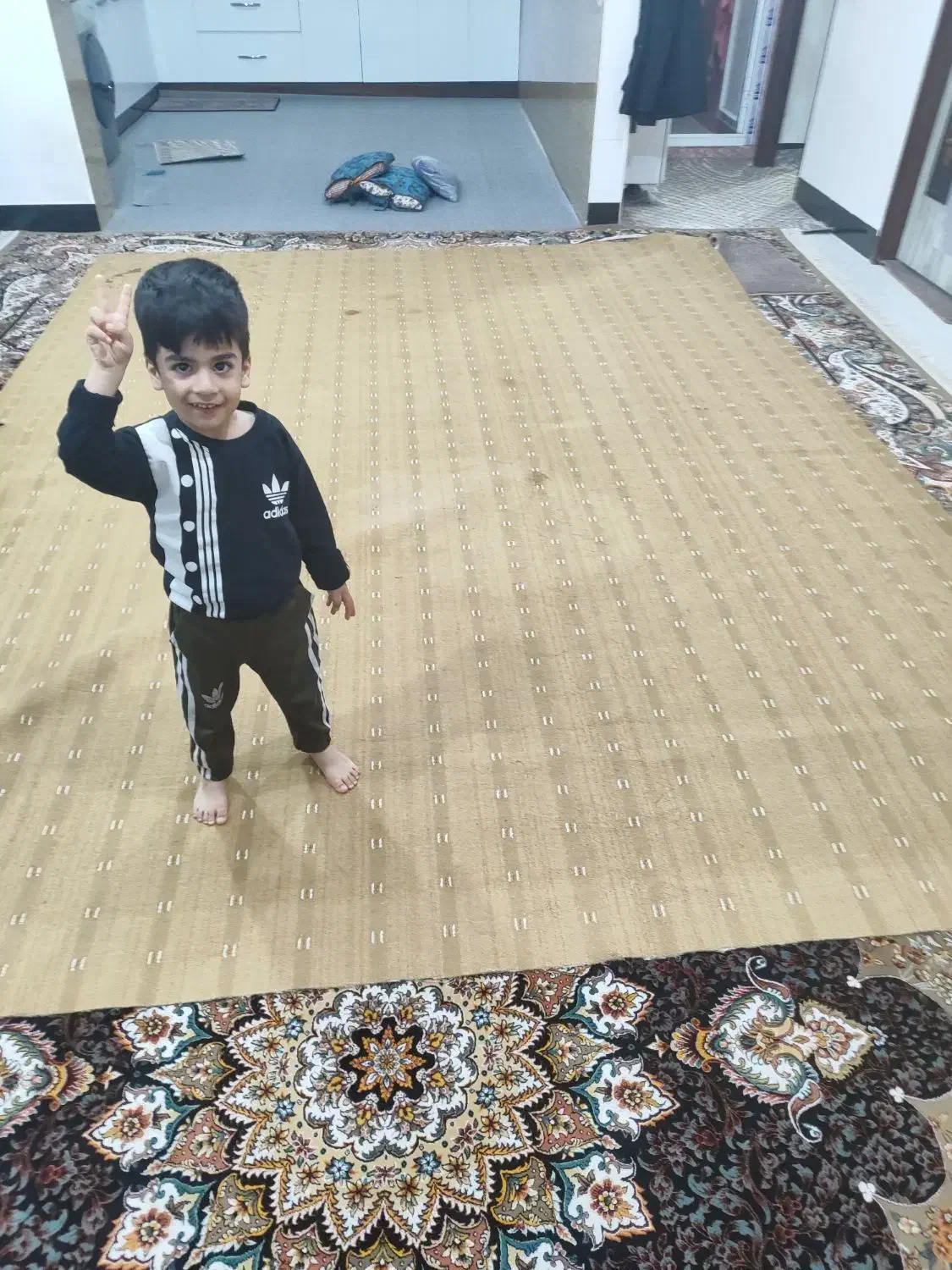 موکت|موکت|آبدانان, |دیوار