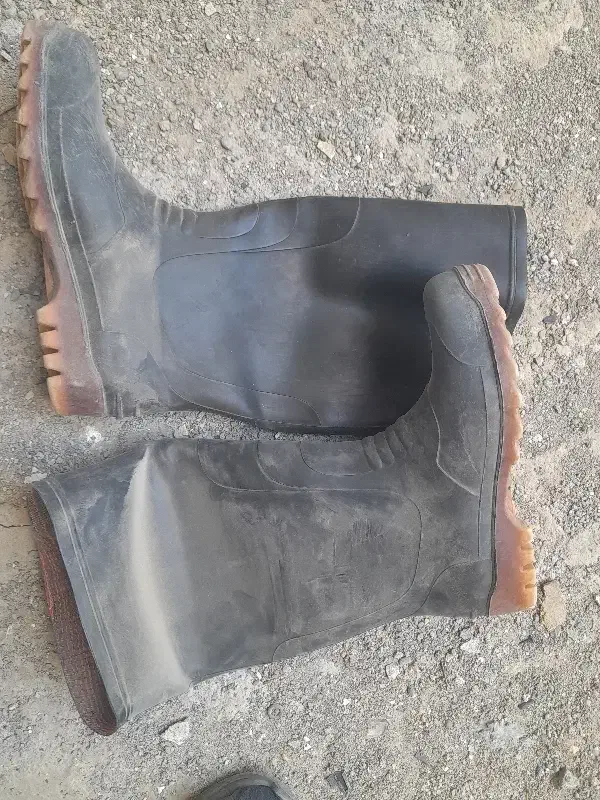 یک جفت چکمه نو پارسی|کیف، کفش، کمربند|زابل, |دیوار