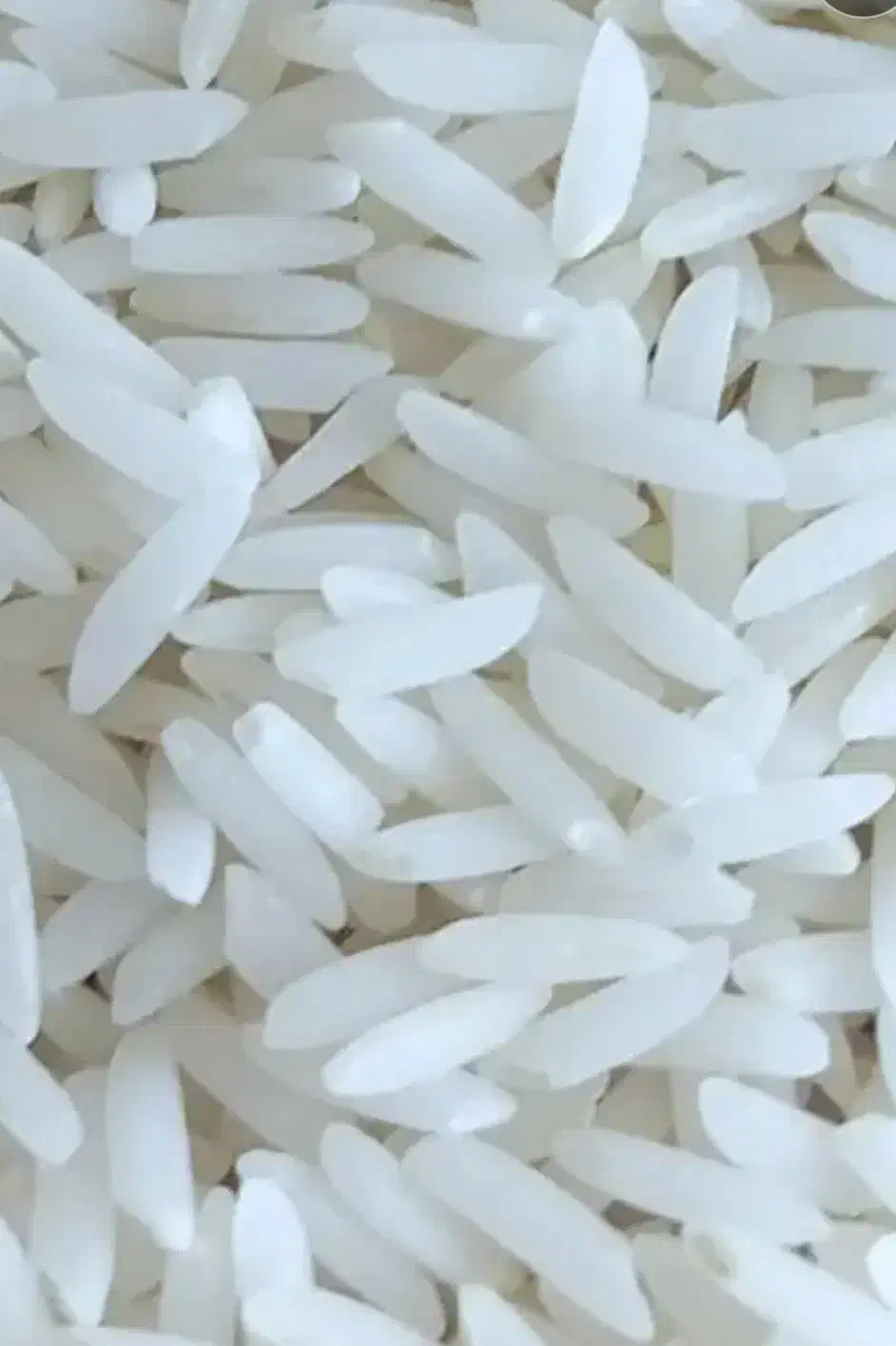 برنج و نیم دانه هاشمی اصل سورتینگ شده و خالص|خوردنی و آشامیدنی|لاهیجان, امیرشهید|دیوار