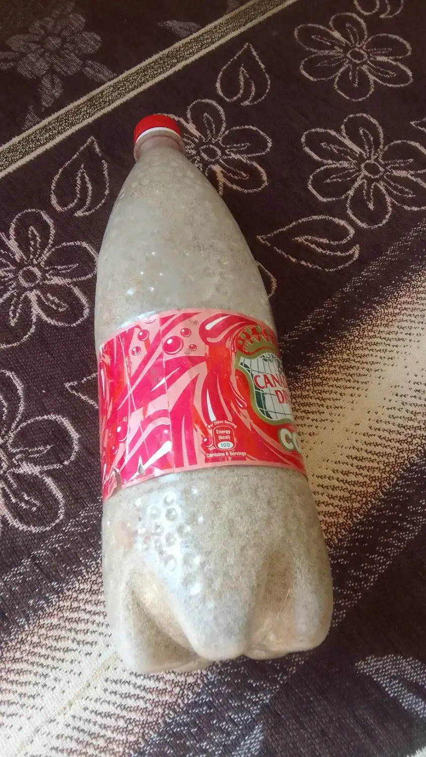 توم گوجه ای سفید|گل و گیاه طبیعی|کوهدشت, |دیوار