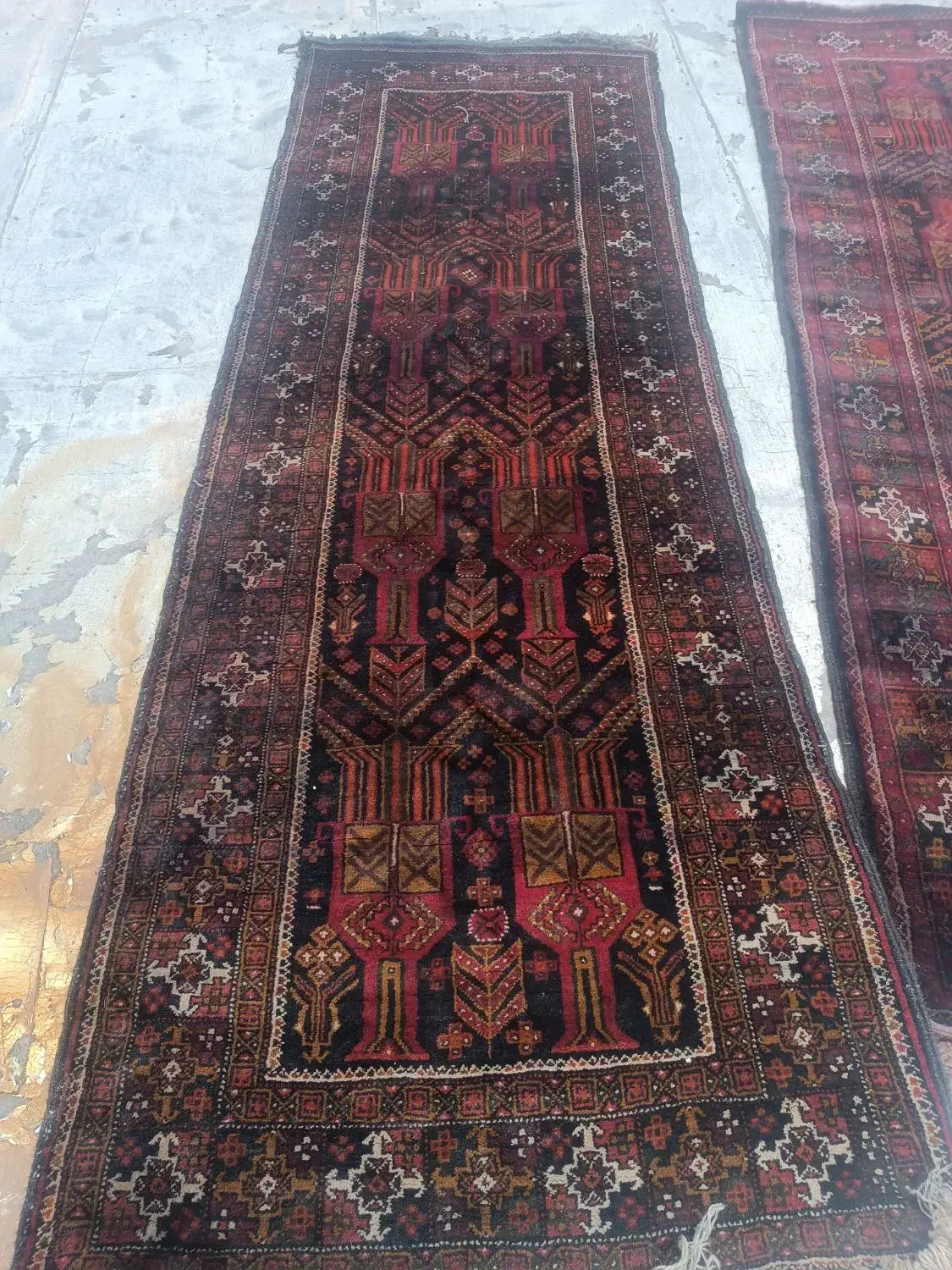 فرش دستبافت قدیمی سیستان|فرش|زاهدان, |دیوار