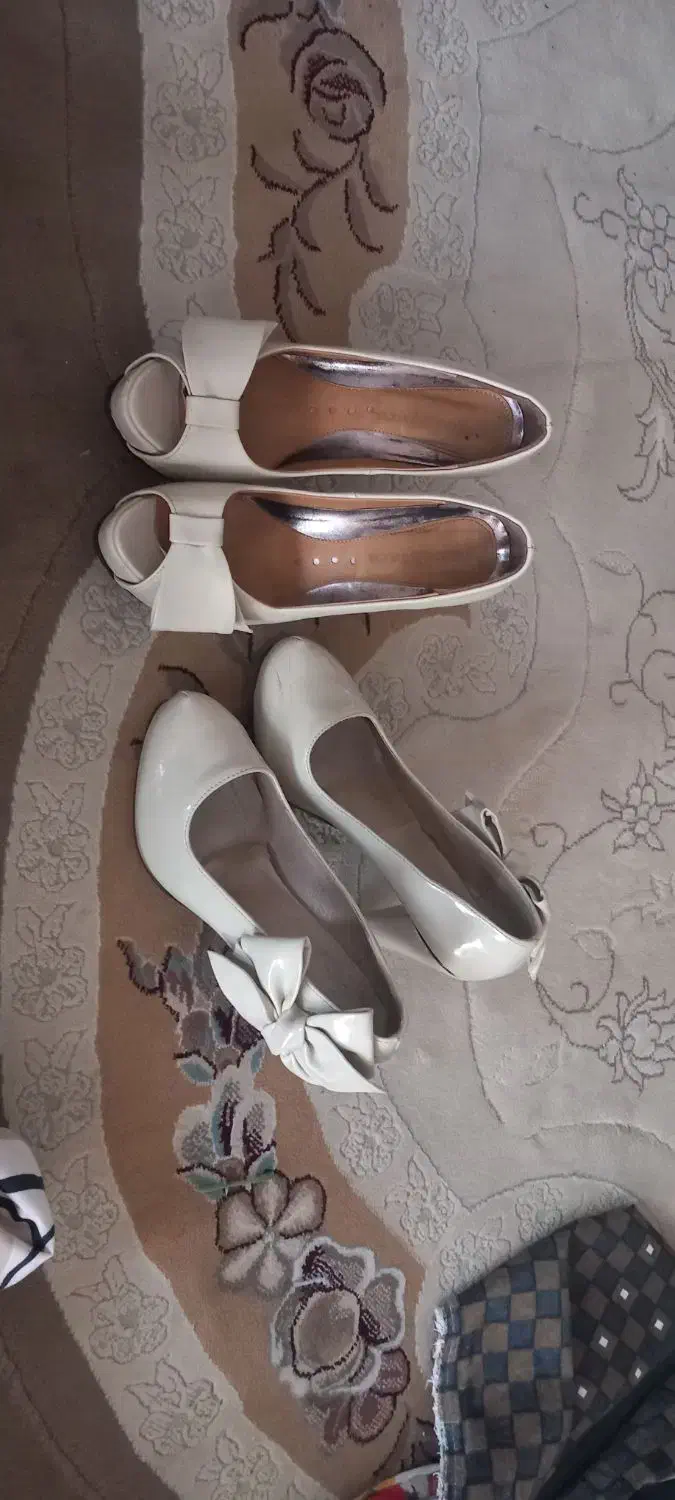 کیف و کفش|کیف، کفش، کمربند|اردبیل, |دیوار