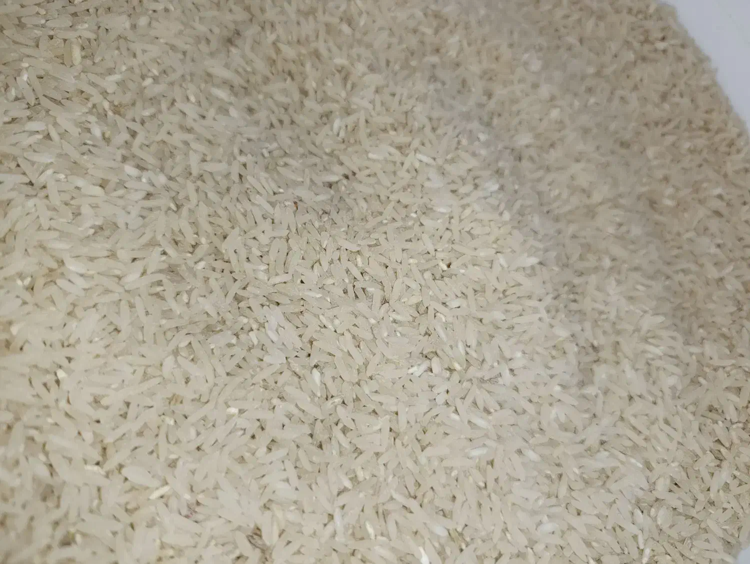 برنج طارم درجه یک کلات|خوردنی و آشامیدنی|دهدشت, |دیوار