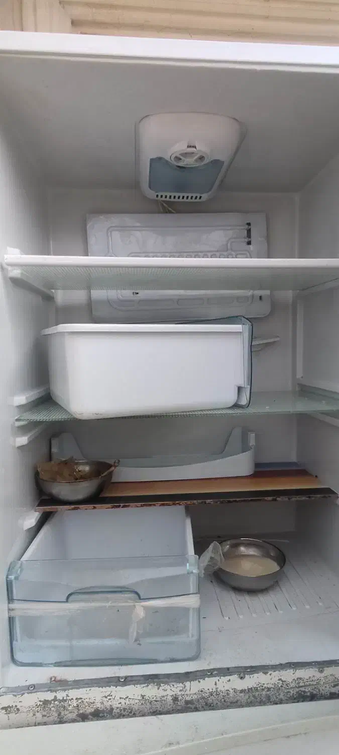 یخچال|یخچال و فریزر|بزینه رود, |دیوار