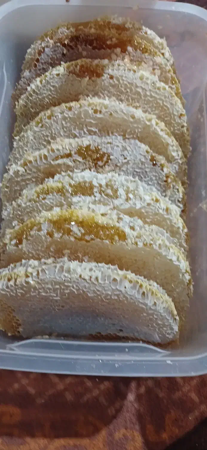 عسل صدرصد درمانی|خوردنی و آشامیدنی|اسکو, |دیوار