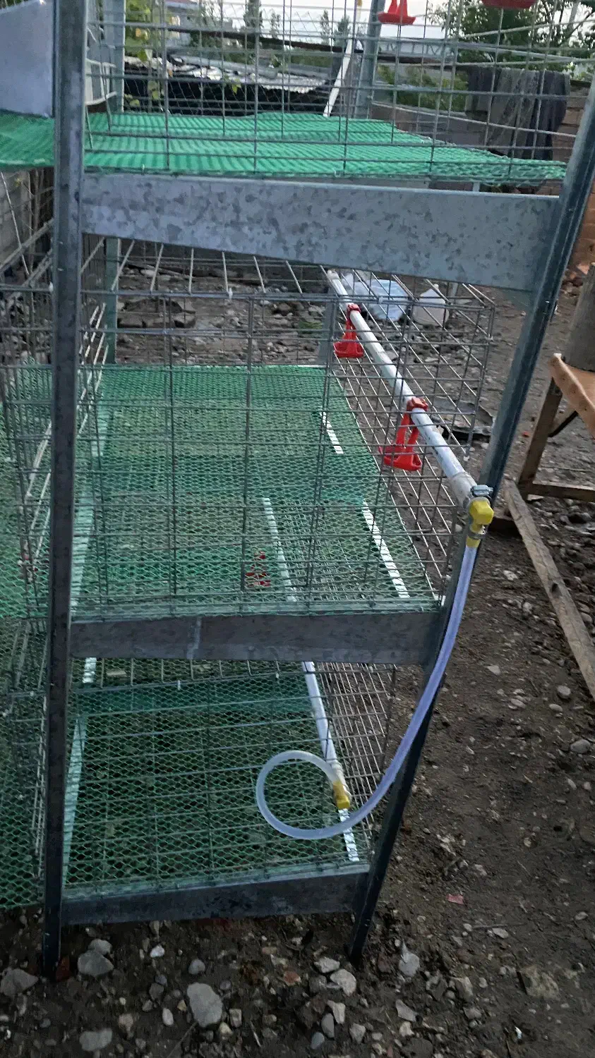 قفس مرغ تخمگذار و گوشتی|حیوانات مزرعه|ساری, |دیوار