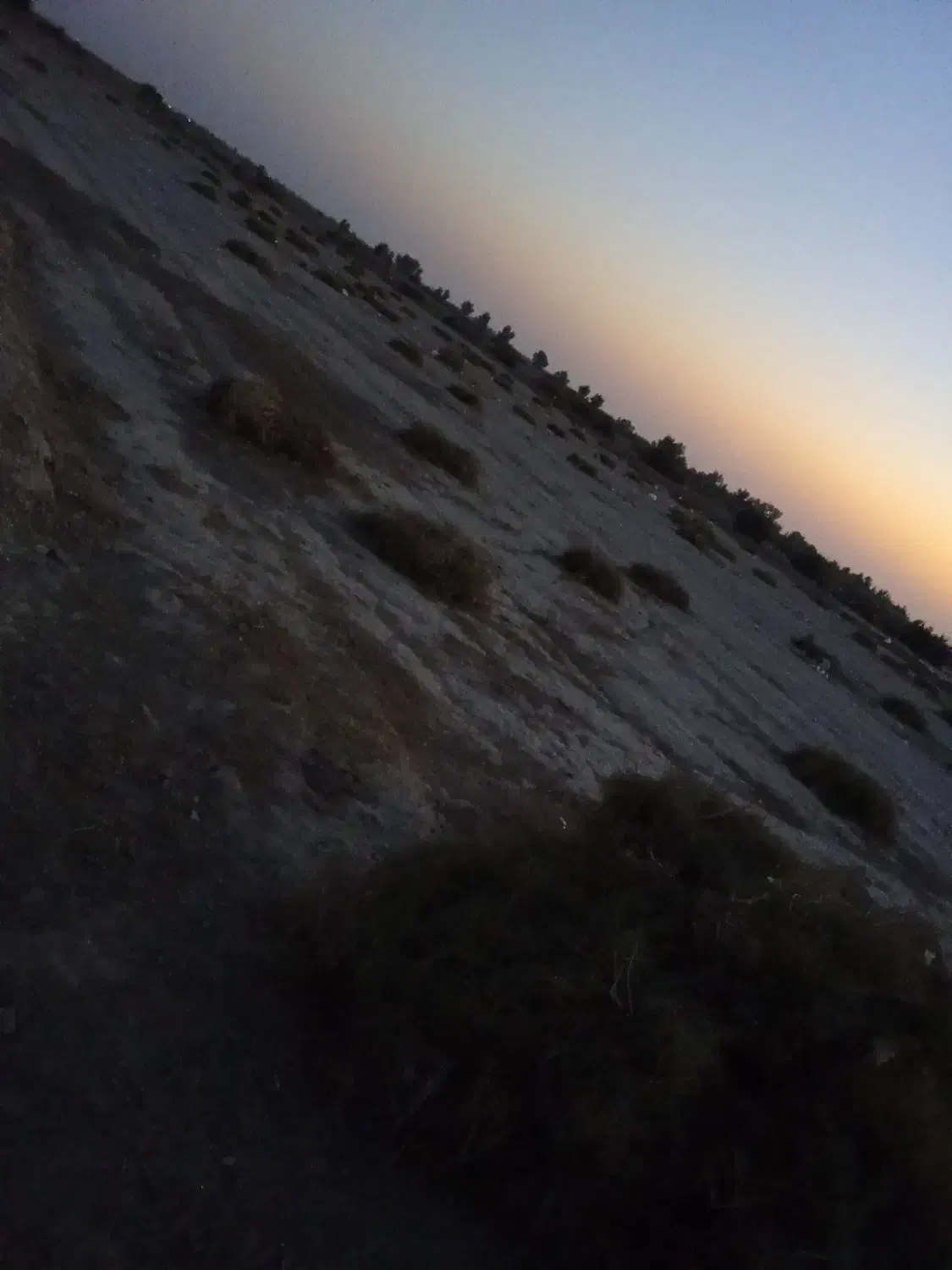 خار|لوازم جانبی حیوانات|کرباسک, |دیوار