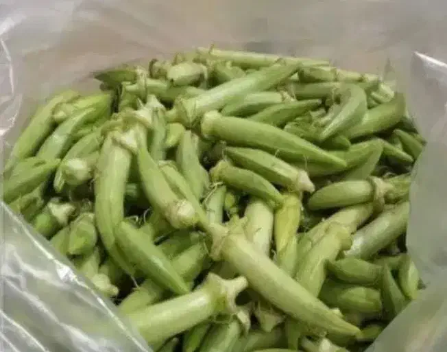 بذر بامیه شرط درجه یک از باغم|گل و گیاه طبیعی|شادگان, |دیوار