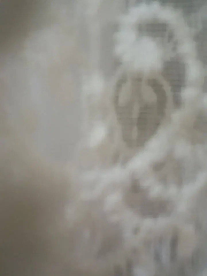 راهنمایی|فعالیت داوطلبانه تحقیقاتی|بروجرد, |دیوار