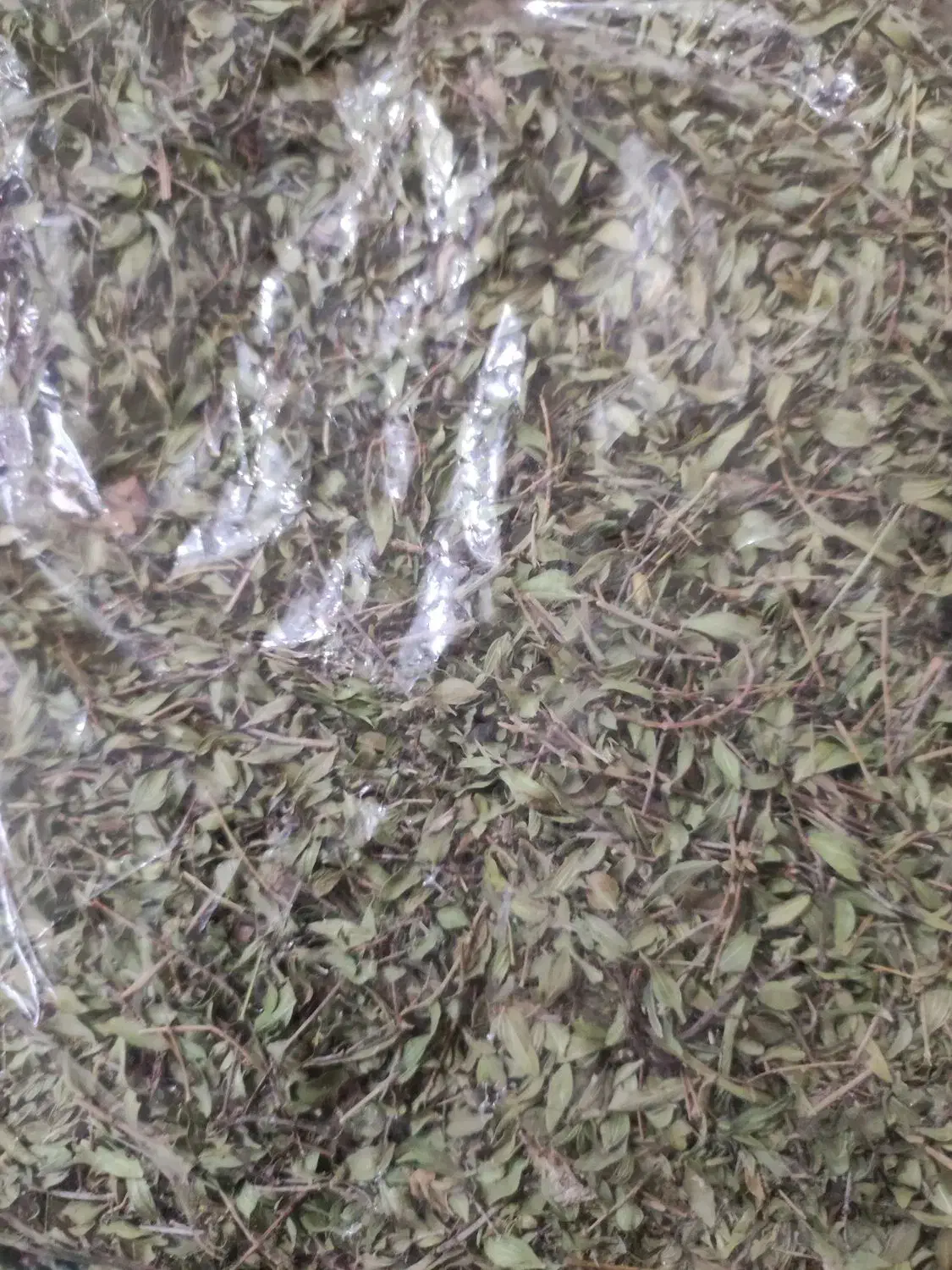 آویشن محلی وآسیاب شده|خوردنی و آشامیدنی|قم, شاه ابراهیم|دیوار