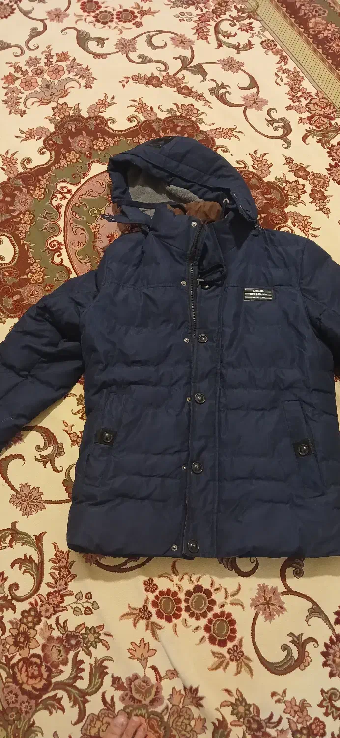 کاپشن|لباس|سنقر, |دیوار