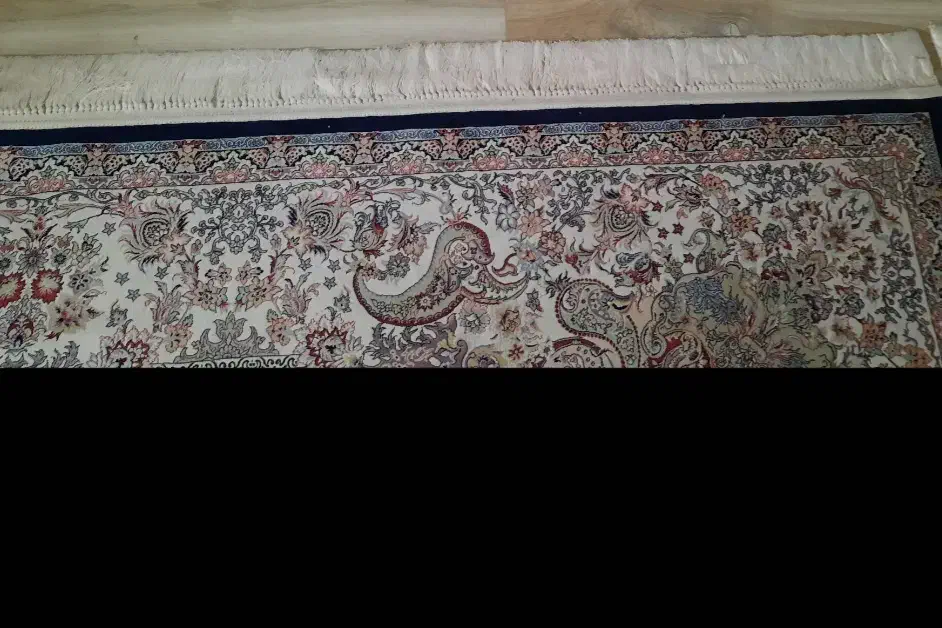 فرش ۹متری ۱۲۰۰ شانه|فرش|رباط‌کریم, رباط‌کریم|دیوار