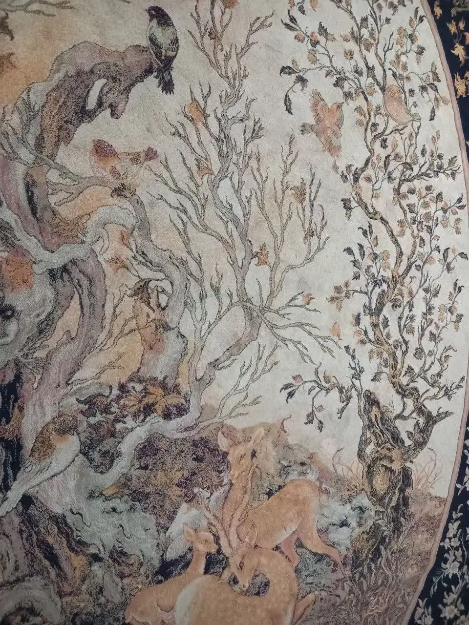 فروش فرش|فرش|تایباد, |دیوار