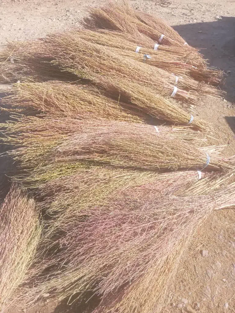 جارو نرم دسته ۳۵|لوازم نظافت|نورآباد, |دیوار