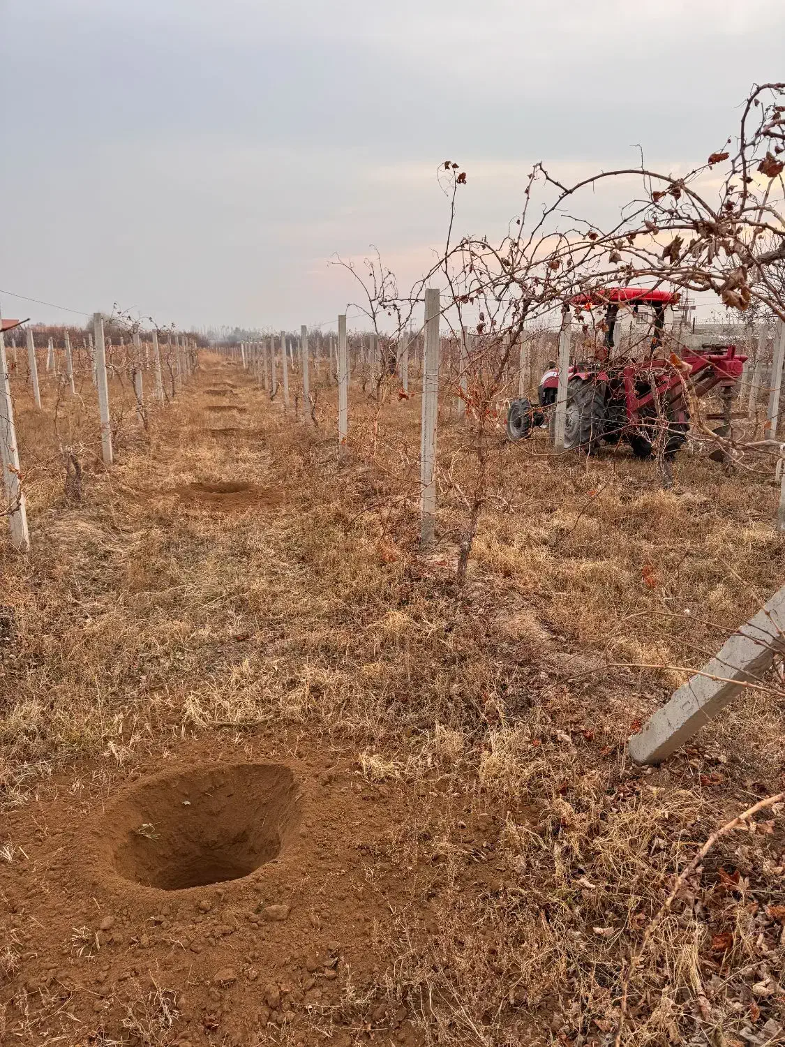 چاله کن چاله کنی انواع نهال تیرچه فنس|خدمات باغبانی و درختکاری|ارومیه, |دیوار