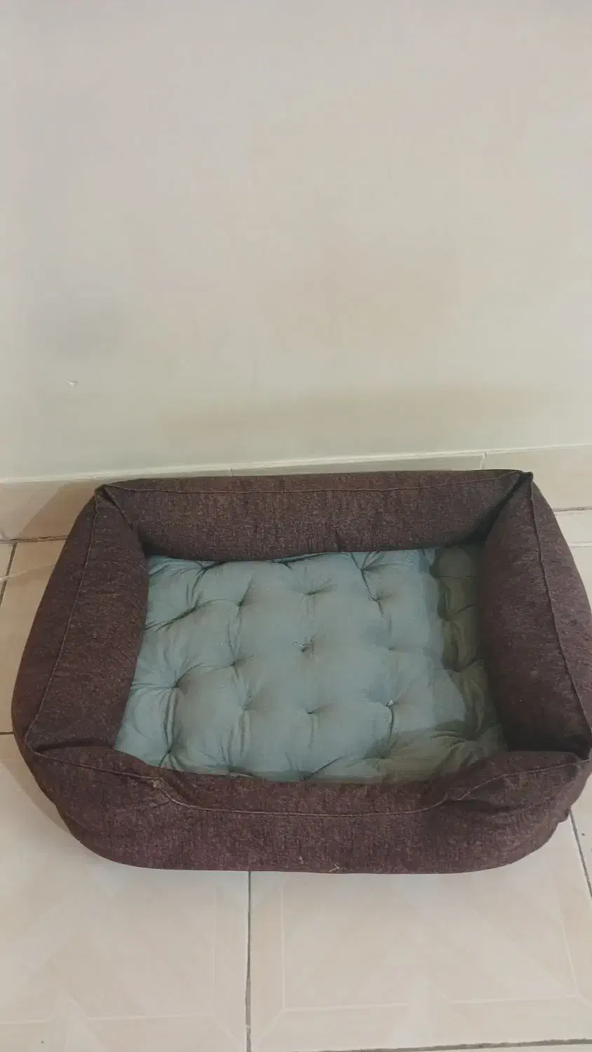 جای خواب سگ|لوازم جانبی حیوانات|تهران, گمرک|دیوار