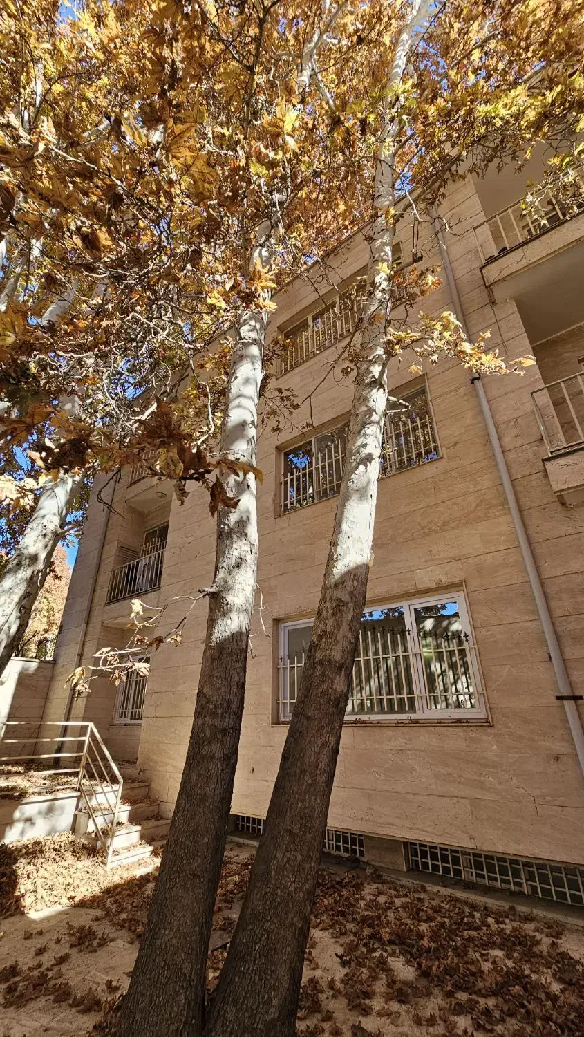 آپارتمان ۱۰۶ متری با جوی آب دائمی و درختان چنار|فروش آپارتمان|محلات, |دیوار