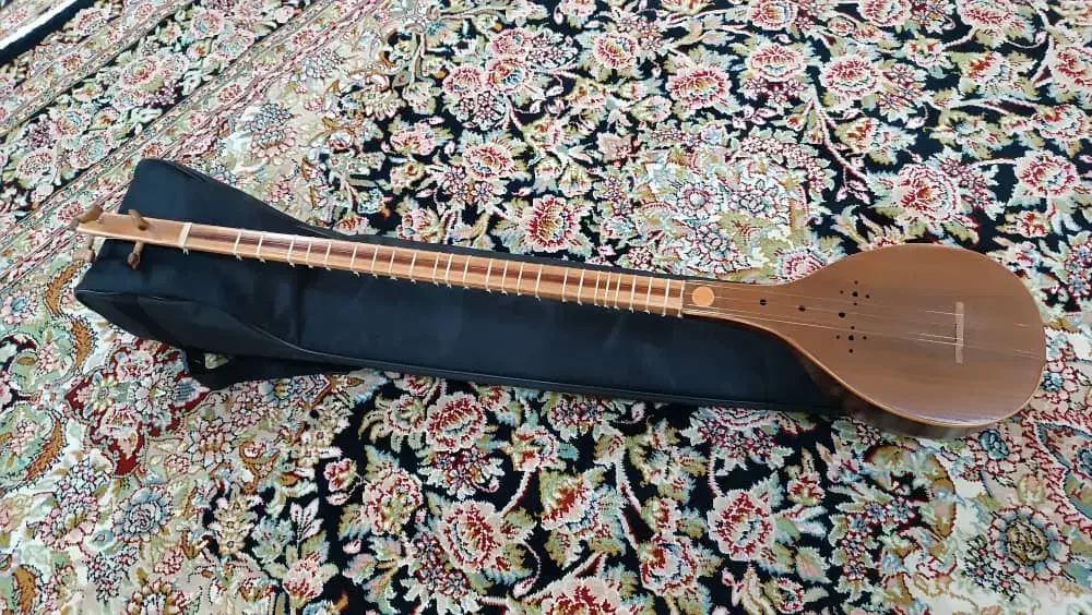 ستارحرفه ای نو و جلد نو بدون ایراد|سازهای سنتی|ملکشاهی, |دیوار