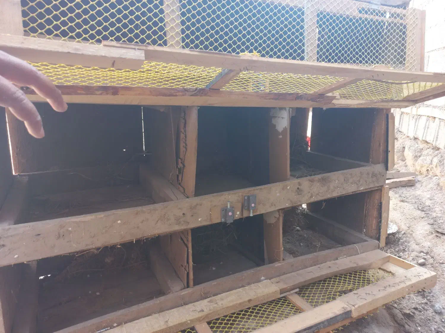 حمیدیه|لوازم جانبی حیوانات|حمیدیه, |دیوار