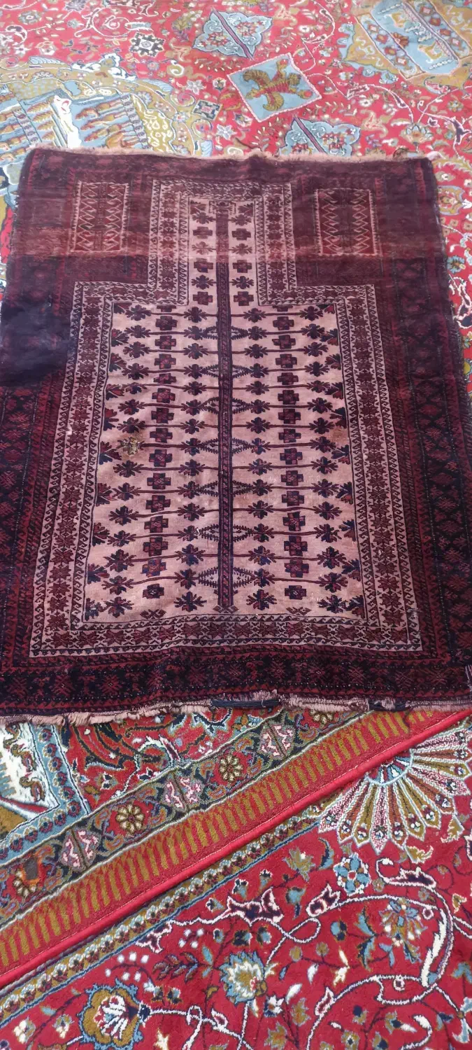 فرش|فرش|قزوین, |دیوار