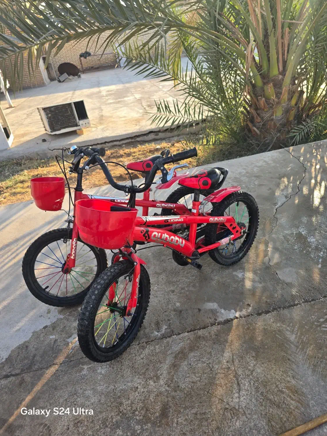 فروش دوچرخه|دوچرخه، اسکیت، اسکوتر|دیلم, |دیوار