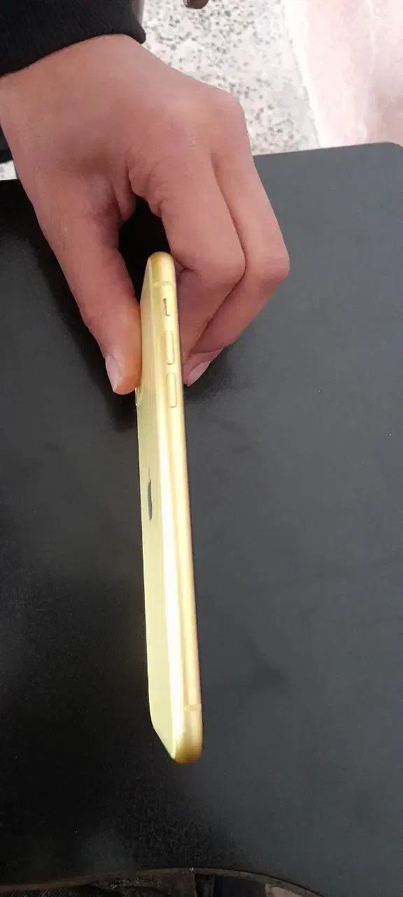 iPhone 11 normal|موبایل|سنندج, |دیوار