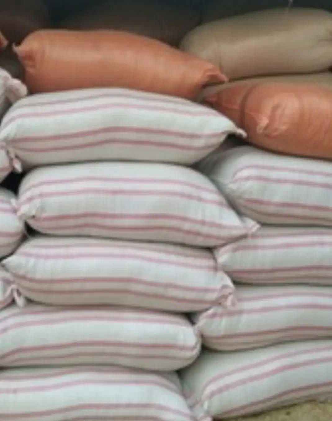 کاه سبز علوفه باغی حدودا ۱۰۰۰کیلو|حیوانات مزرعه|سمیرم, |دیوار