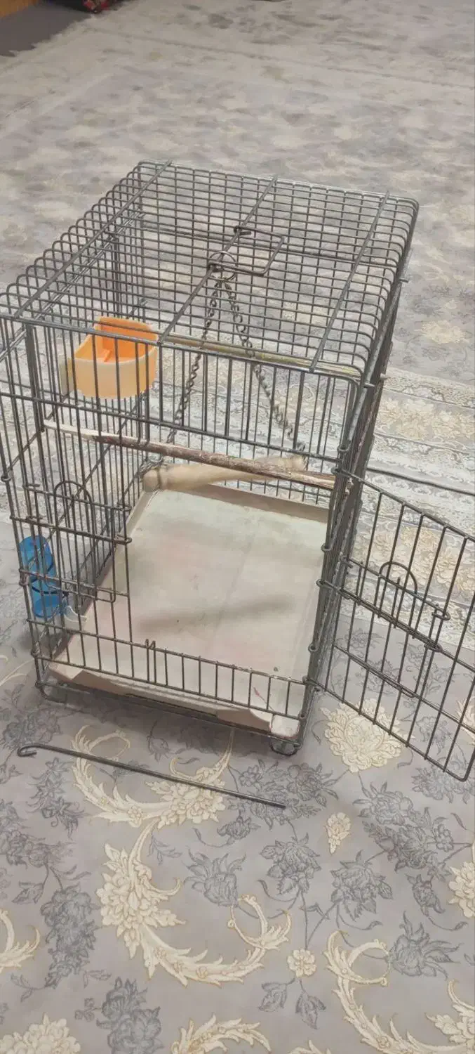 قفس عروس محکم یک عدد ارزون|لوازم جانبی حیوانات|نسیمشهر, |دیوار
