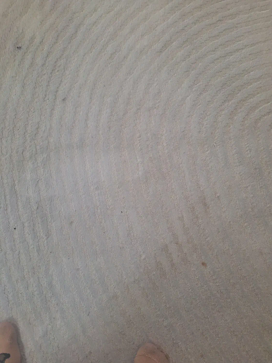 فرش ۴ متری یکساله خریداری شده ازشهرفرش|فرش|پردیس, فاز ۱۱|دیوار