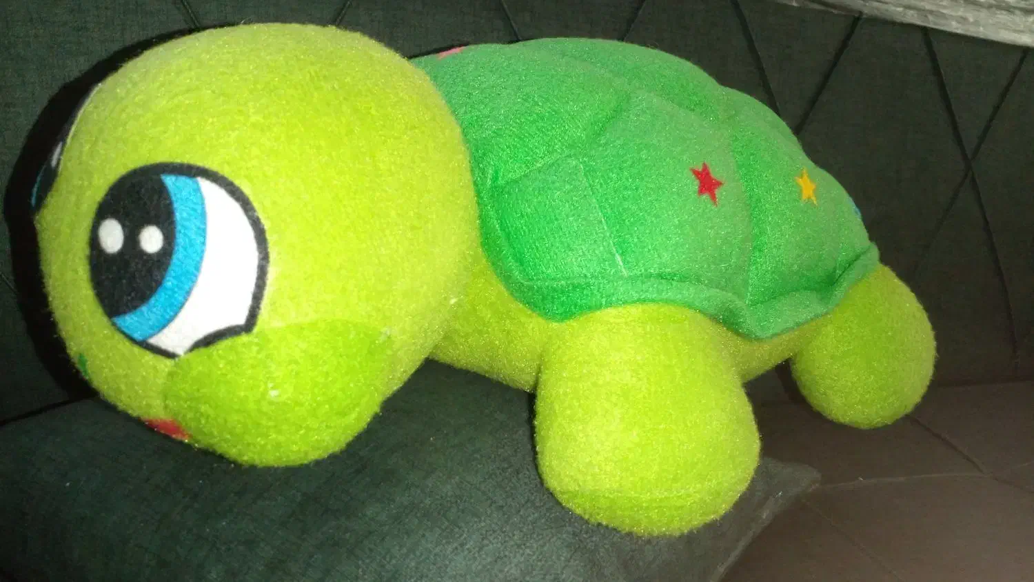 عروسک لاک پشت.|اسباب‌بازی بچه|قدس, شهر‌قدس|دیوار