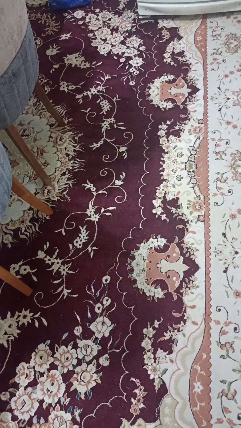 فرش 700شانه|فرش|قوچان, |دیوار