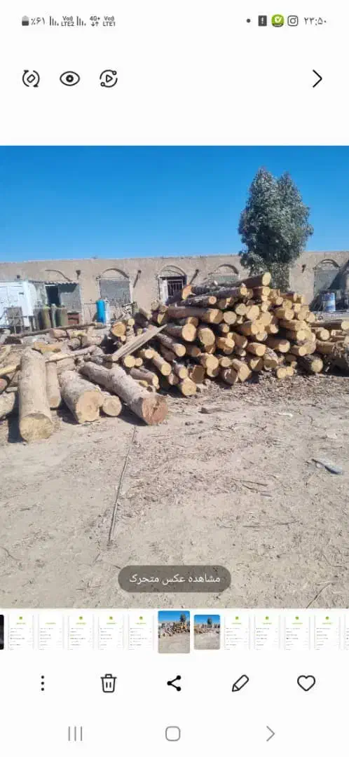 خرید چوب|خدمات باغبانی و درختکاری|ورامین, ورامین|دیوار