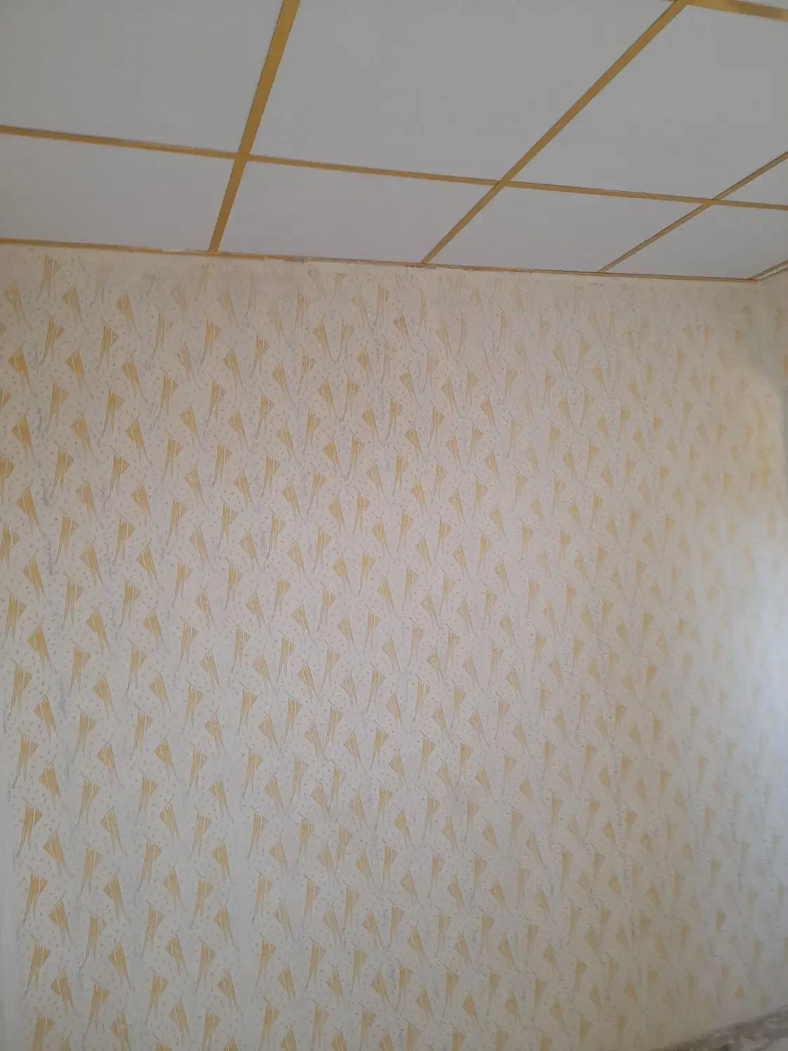 ویلای برق دار در زین اباد|فروش خانه و ویلا|صوفیان, |دیوار