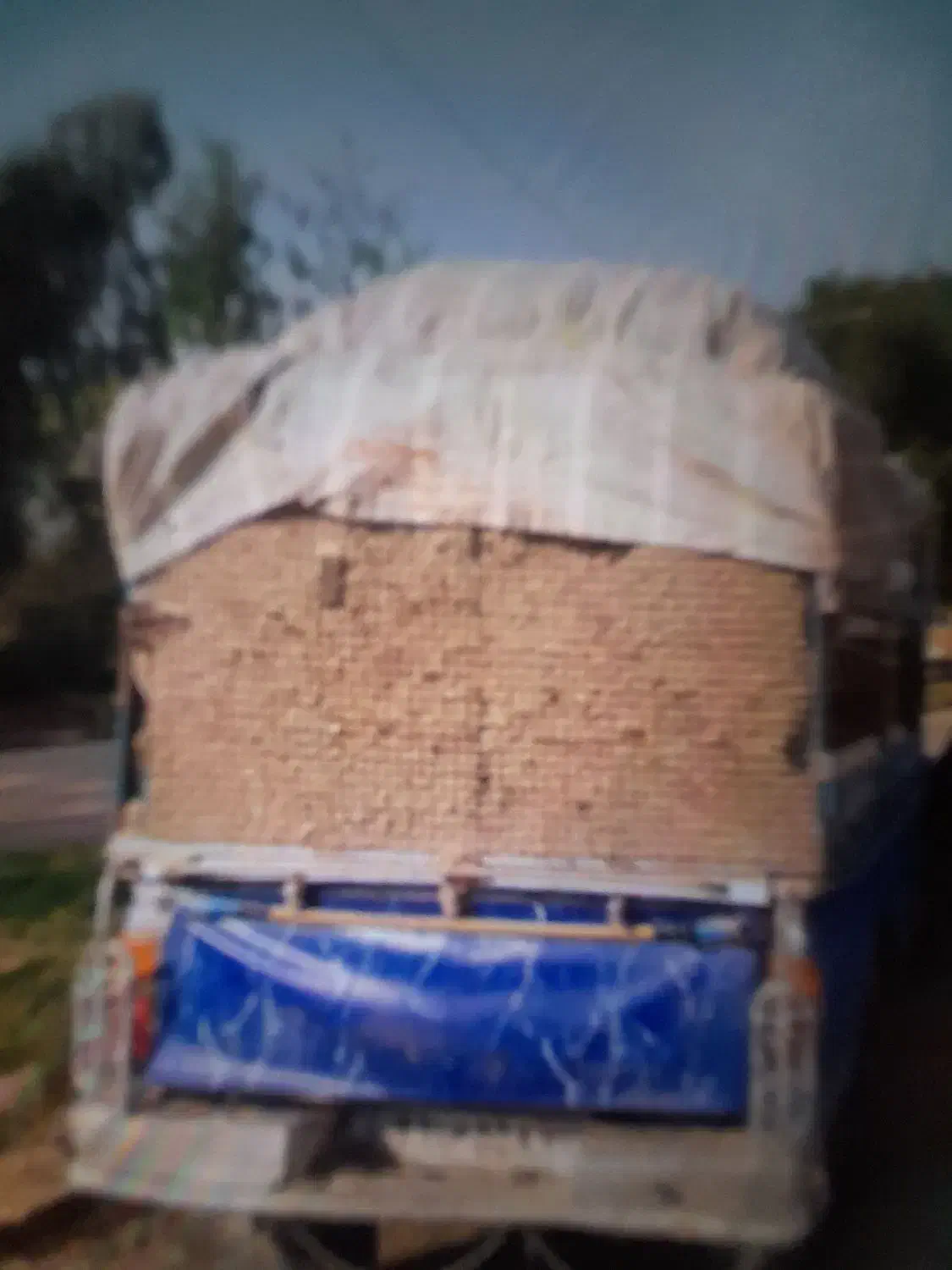 باگاس|خوردنی و آشامیدنی|مسجد سلیمان, |دیوار