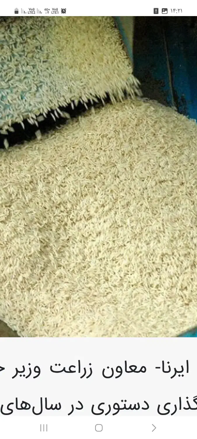 برنج هاشمی|خوردنی و آشامیدنی|رشت, آب و برق|دیوار