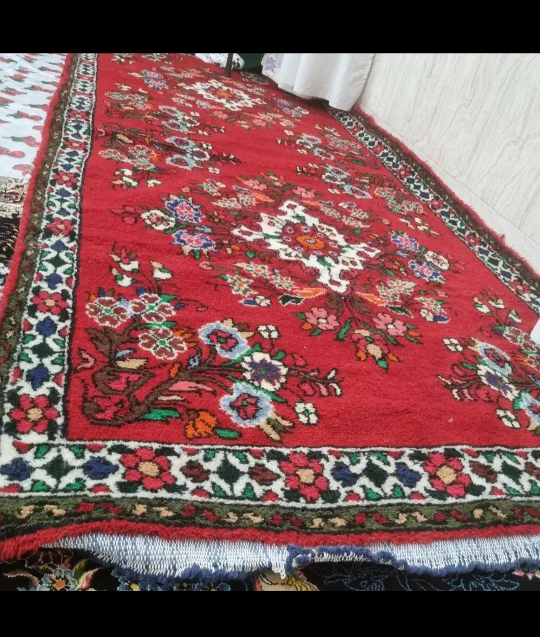 قالی دستبافت سنتی عتیقه|کلکسیون اشیاء عتیقه|قم, پاسدار|دیوار