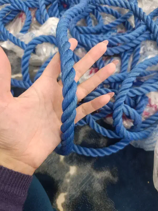 طناب ضخیم ۱۲ میل|ابزارآلات|رشت, سعدی (تختی)|دیوار