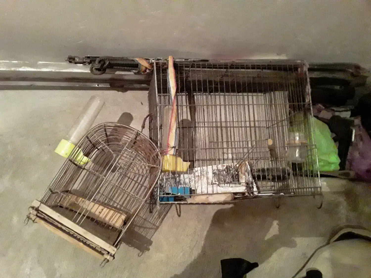 قفس معاوضه با سهره|لوازم جانبی حیوانات|کوهدشت, |دیوار