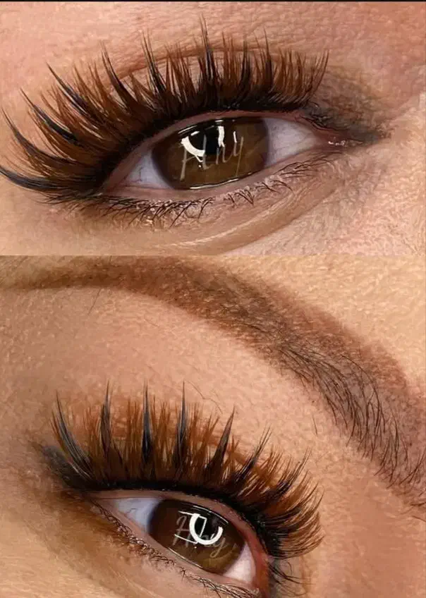 کاشت و آموزش اقتصادی مژه|خدمات آرایشگری و زیبایی|خرمآباد, |دیوار