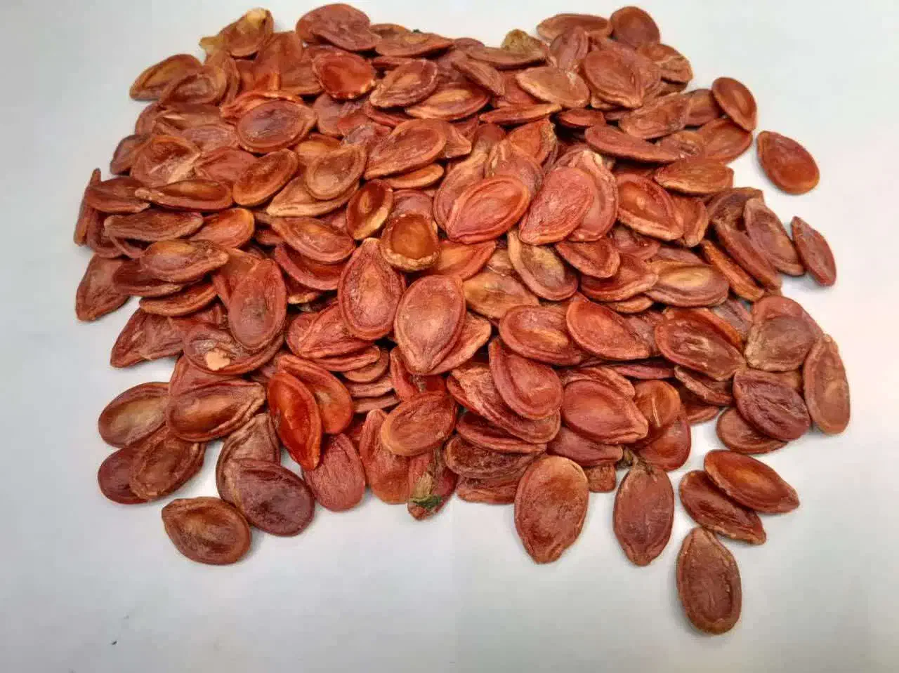 تخمه درجه یک|عمده‌فروشی|کرج, حصارک بالا|دیوار