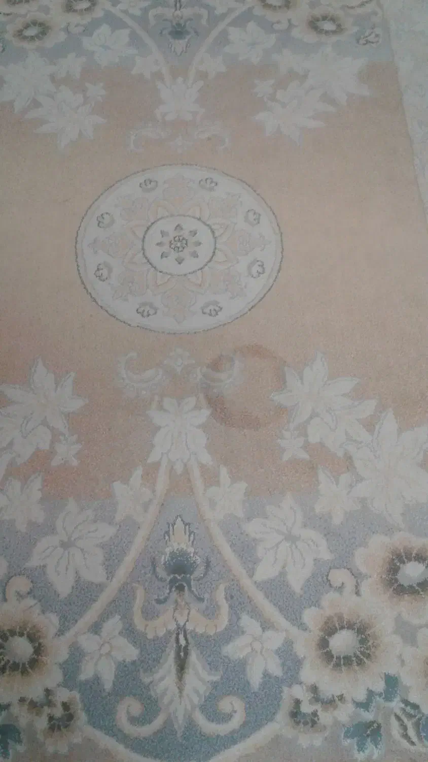 باسلام دوعدد فرش شش متری|فرش|نیشابور, مازول|دیوار